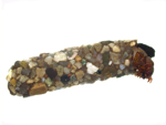 Northern Case Maker Caddisfly Larvae specimen