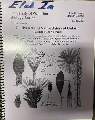 University of Waterloo Biology Series: Cultivated and Native Asters of Ontario specimen