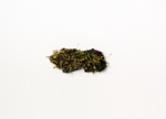 Common green bryum moss specimen