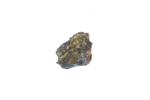 Powdery Goldspeck Lichen  specimen